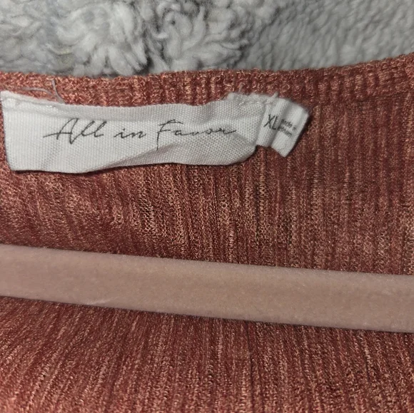 FINAL PRICE!! All in Favor Terracotta Midi Dress - Picture 4 of 8